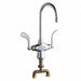 Sink Faucet
