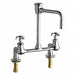 Laboratory Sink Faucet