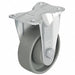 Standard Plate Caster Rigid 330 lb.