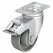 Standard Plate Caster Swivel 330 lb.