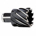 Annular Cutter 1.75in HSS
