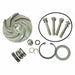 Pump Repair Kit For 2ZWY9A