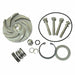 Pump Repair Kit For 2ZWZ1A