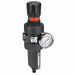 Filt-Reg 1/2 NPT 61 cfm 5 micron