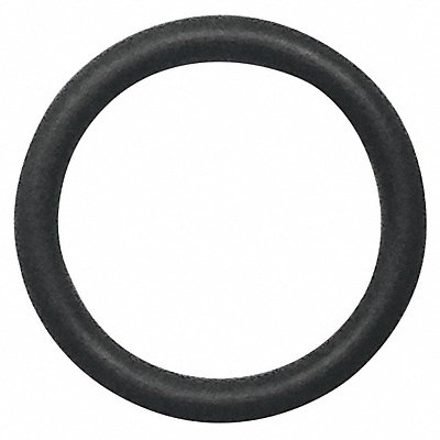 O-Ring Fits Purtest