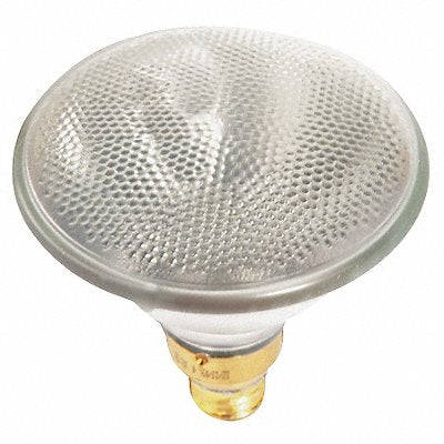 Tuffskin Flood Lamp 90W 120V