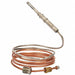 Thermocouple Dt 60