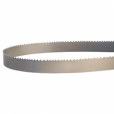 Band Saw Blade 11-3/5 in L 1 in W