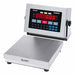 Checkweigher Scale SS Pltfrm 50 lb Cap.