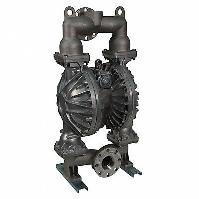 Dbl DphrmPmp NPT/Flange TPV 3/4in 215gpm