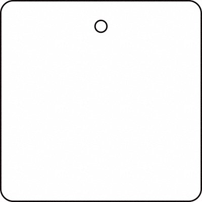 Blank Tag 2 x 2In White PK10