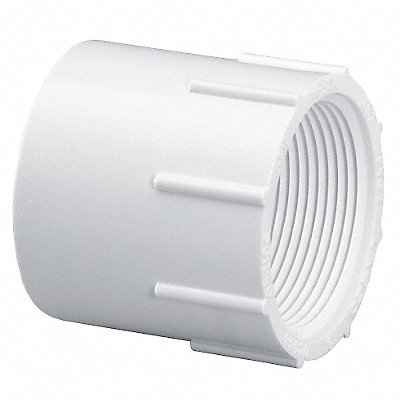 Female Adapter 6 in Schedule 40 White