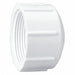 Cap 1/2 in Schedule 40 FNPT White