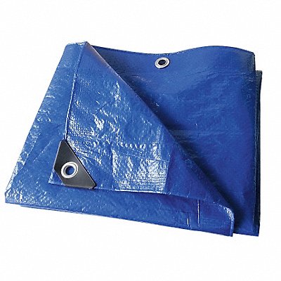 Tarp Polyethylene Blue 8x10 ft