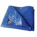 Tarp Polyethylene Blue 20x30 ft