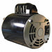 Motor 115V 60 Hz w/Line Cord and Switch