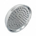 Shower Head Polished Chrome 10 In Dia