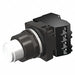 Illuminated Push Button 1NO/1NC 120VAC