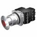 H5392 Illuminated Push Button 30mm 2NC Red