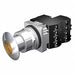 H5393 Illuminated Push Button 30mm 2NC