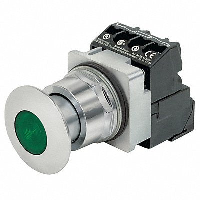 H5391 Illuminated Push Button 30mm 120VAC