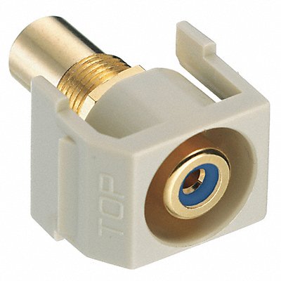 Connector RCA Duplex Ivory