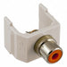 Inline Coupler RCA Duplex Light Almond