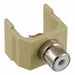 Connector RCA Duplex Ivory