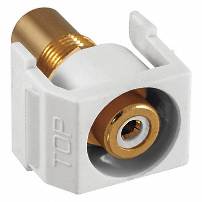 Inline Coupler RCA Duplex White