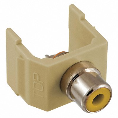 Connector RCA Duplex Ivory