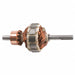 Armature with Retaining Ring 220V