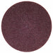 Hook-and-Loop Surface Cond Disc 8 in Dia