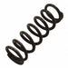 Throttle Valve Spring