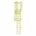 Ladder Steel WalkThru Fixed Cage 12-Rung