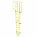 Ladder Steel Stand Fixed 10Rung WalkThru