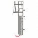 Ladder Fixed Steel Guard Door