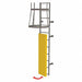 Ladder Fixed Steel Guard Door