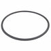 Trap O-Ring