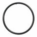 O-Ring for 1-1/2 in Union