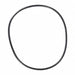 O-Ring for 1-1/2 in Valve Lid