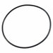 Ss Pump O-Ring