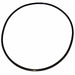 Ss Pump O-Ring
