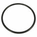 Trap Lid O-Ring