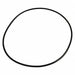 Mounting Ring