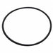 Pump Body O-Ring