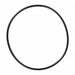 Pump Body Gasket