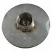 Impeller Stainless Steel 4 5/16 in Dia.