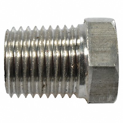 Pipe Plug SS316 1/4 Npt SS PK2