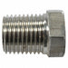 Pipe Plug SS316 1/4 Npt SS PK2