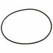 Pump Casing O-Ring